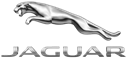 Jaguar Category Logo