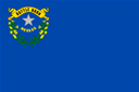 Nevada Category Logo